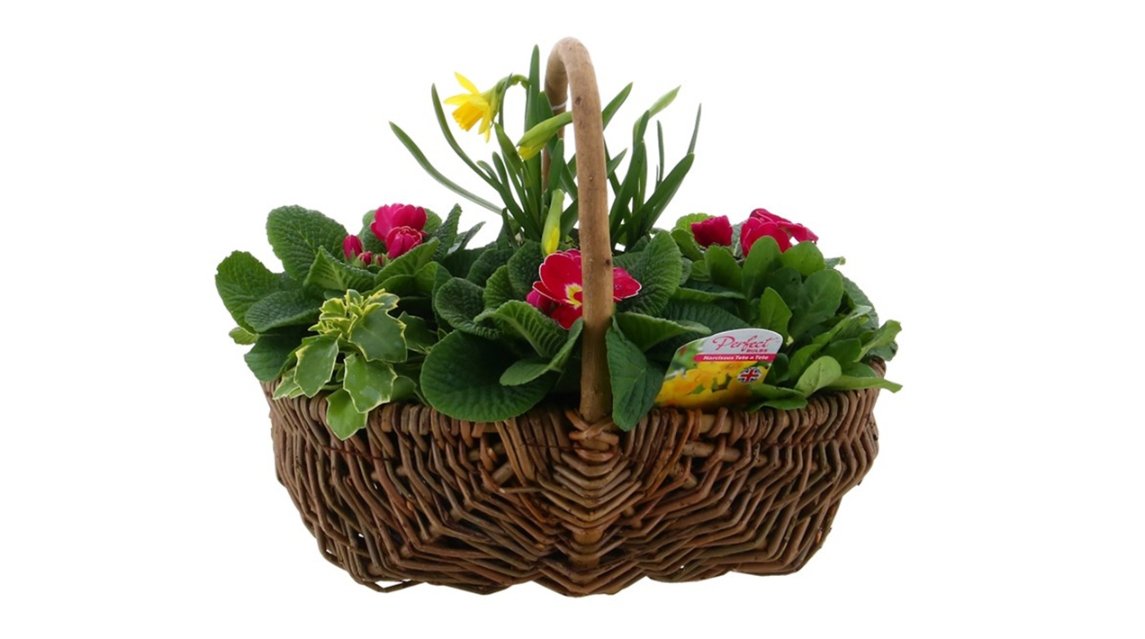 Mothers Day
